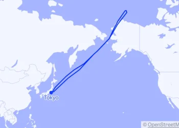 Travelers endured a half-day flight to nowhere after their plane u-turned over the Arctic 7 hours into the journey