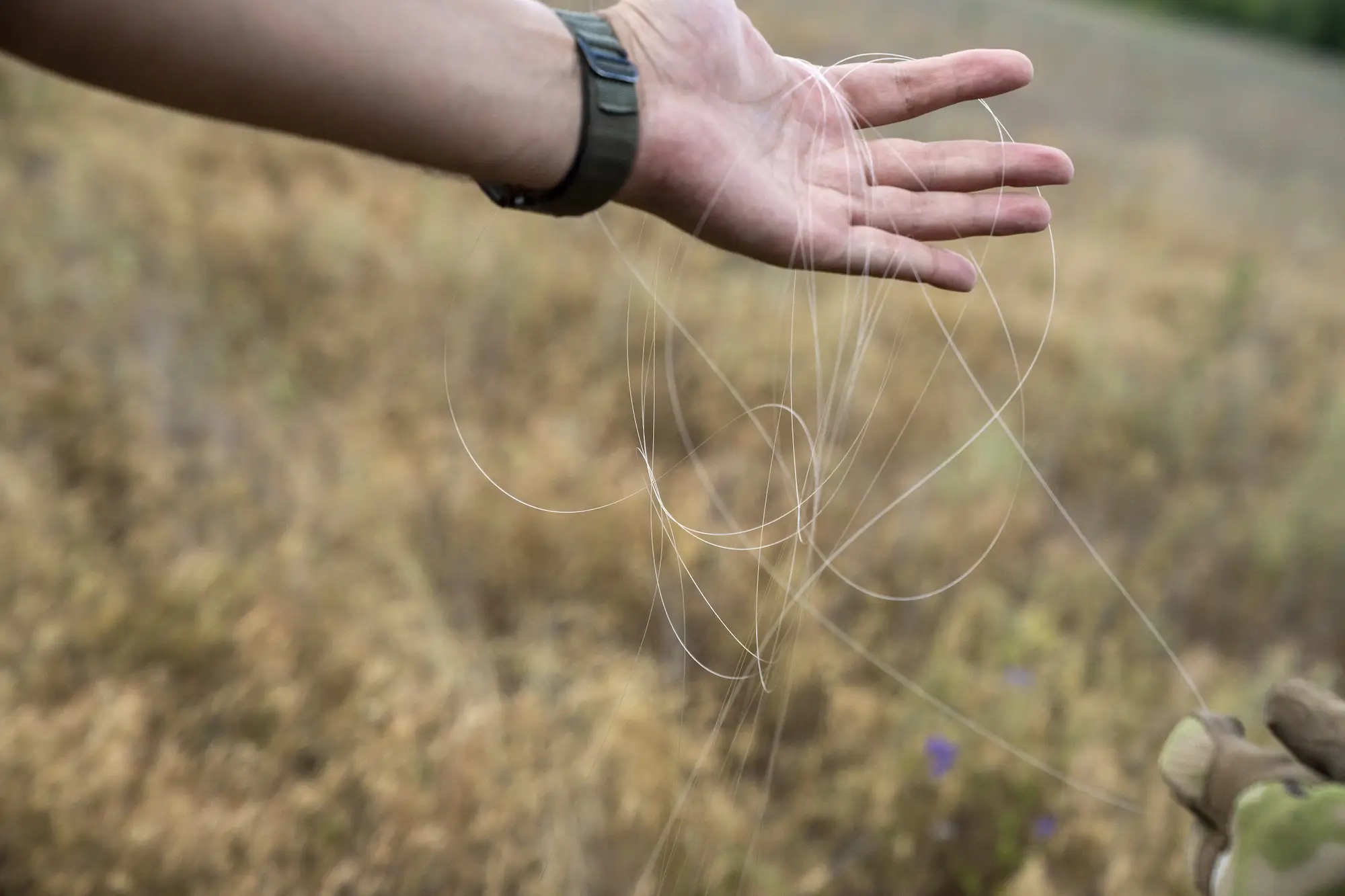 A hand holds thin pale wires above a grassy ground