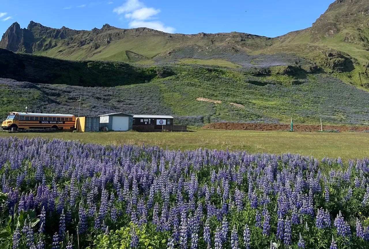 Lavendar field with hills in distance