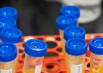 Supplements are the new obsession, even as doctors stay wary. I went inside one of the industry’s biggest factories.