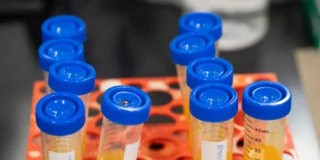 Supplements are the new obsession, even as doctors stay wary. I went inside one of the industry’s biggest factories.