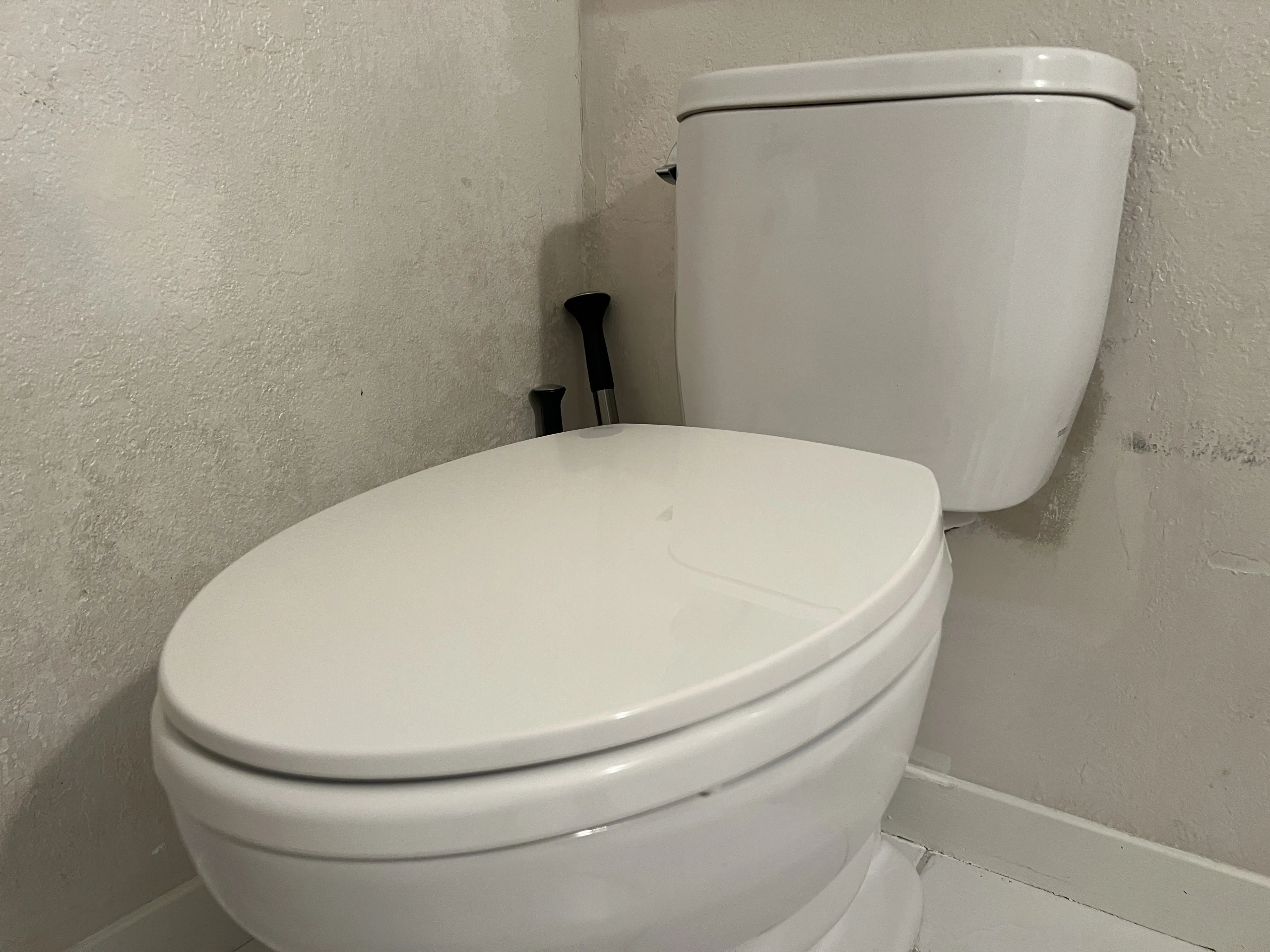 Toto's toilet