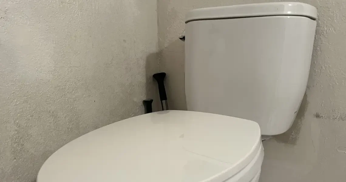 A Japanese toilet maker and seasoning giant are unlikely winners of the AI boom