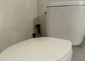 A Japanese toilet maker and seasoning giant are unlikely winners of the AI boom