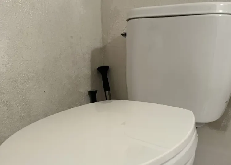 A Japanese toilet maker and seasoning giant are unlikely winners of the AI boom