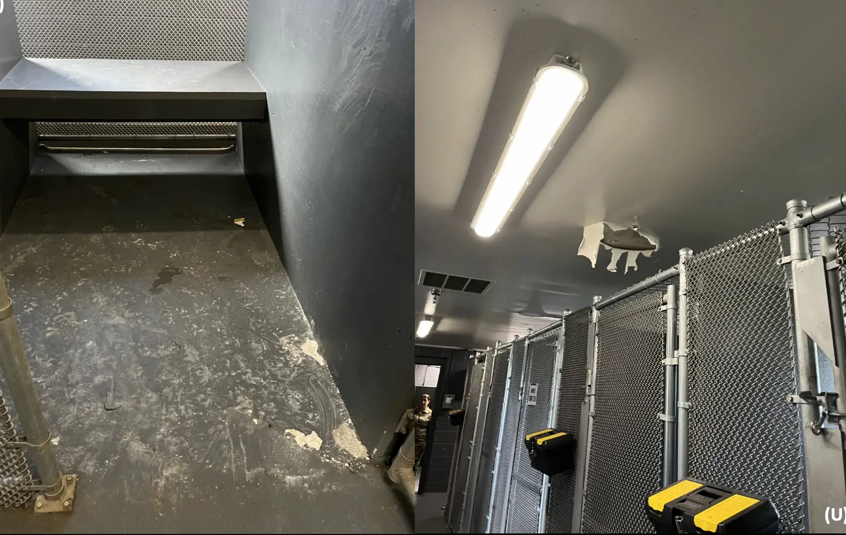 Water damage, mold, and toxic debris have plagued canines and troops who work with them at Joint Base Langley-Eustis in Virginia.