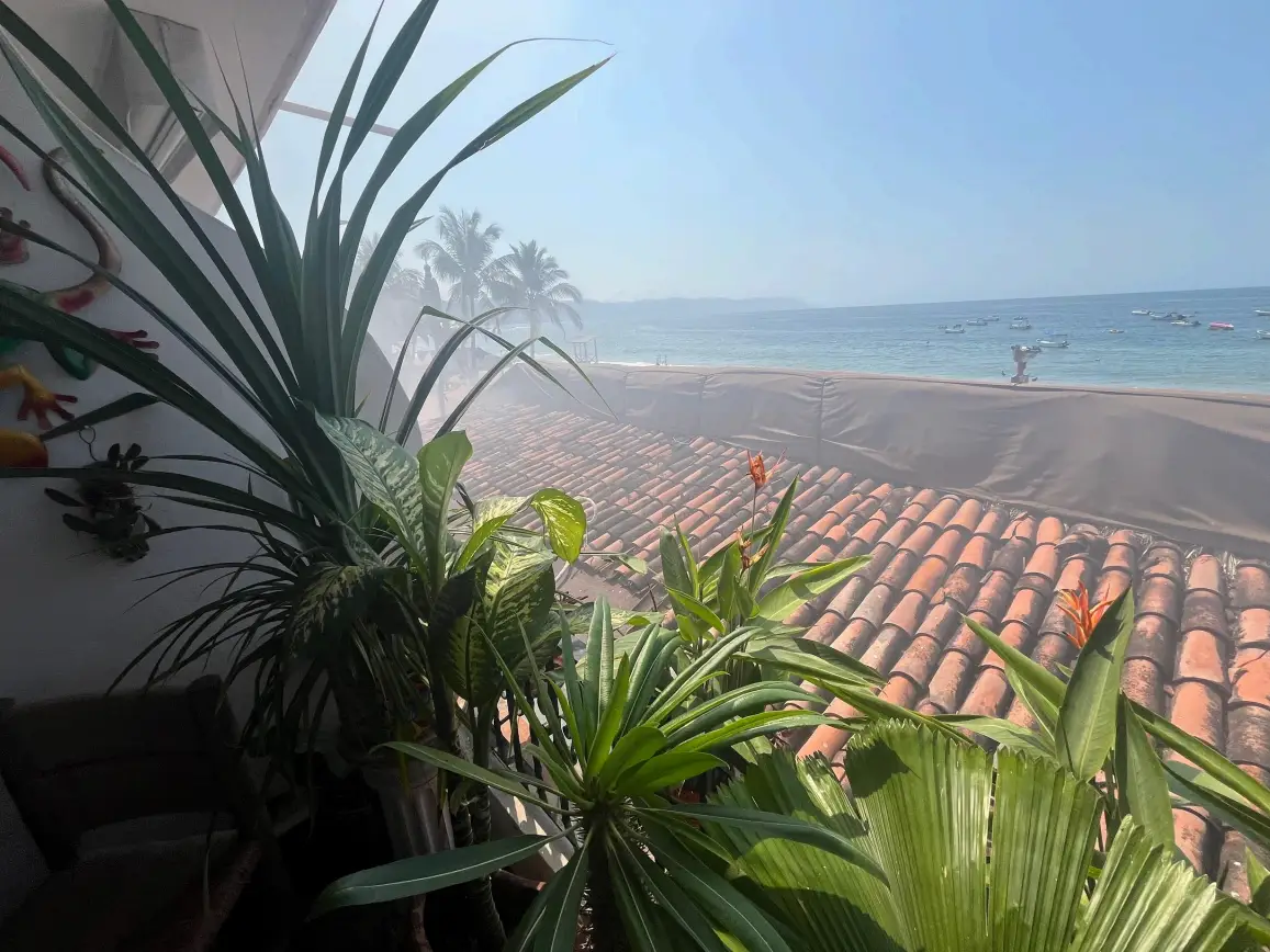 Tropical plants on a balcony overlook red-tiled rooftops, palm trees, and a calm blue ocean dotted with small boats.