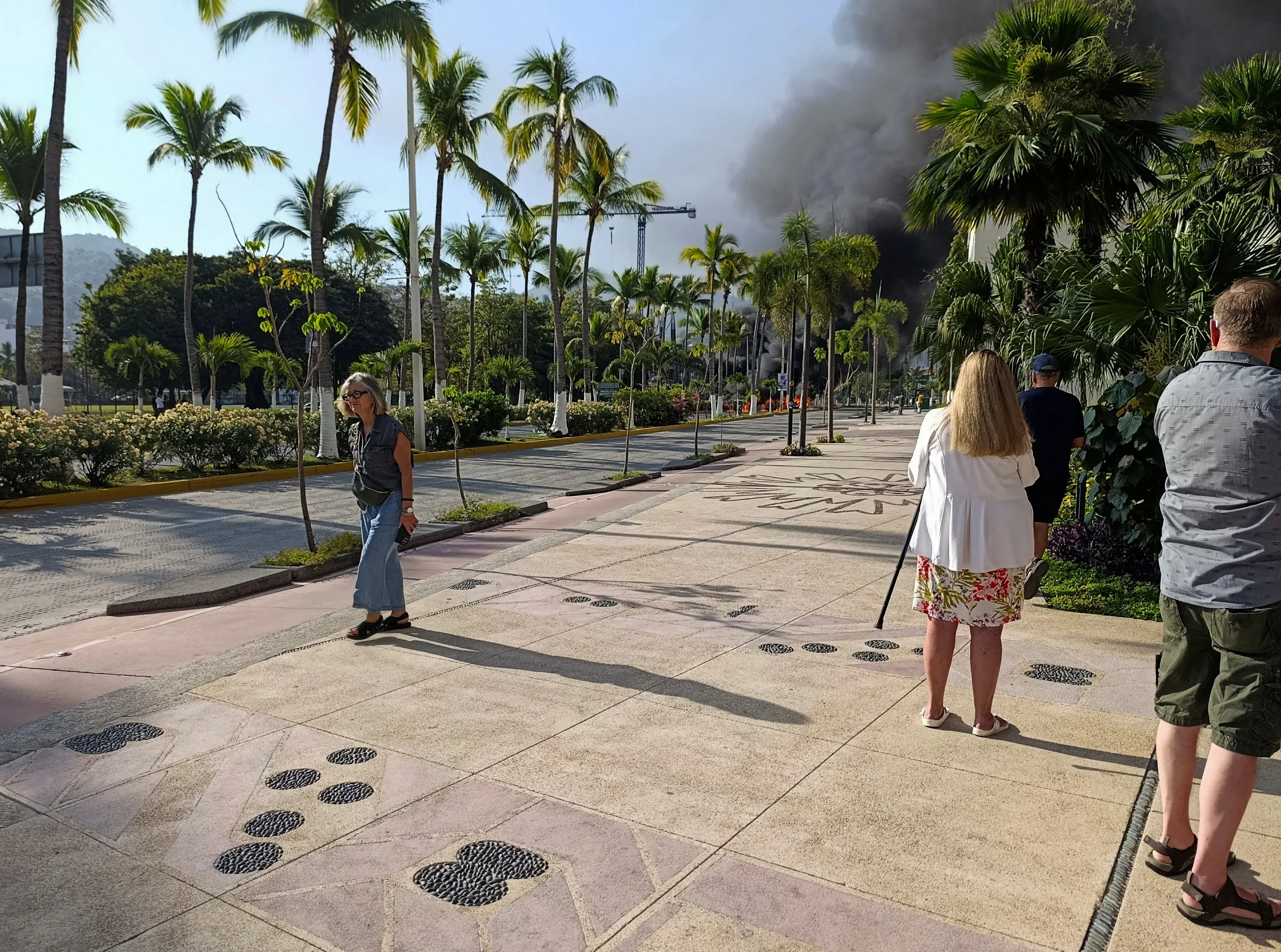 People on the street, surrounded by trees, and observing smoke.