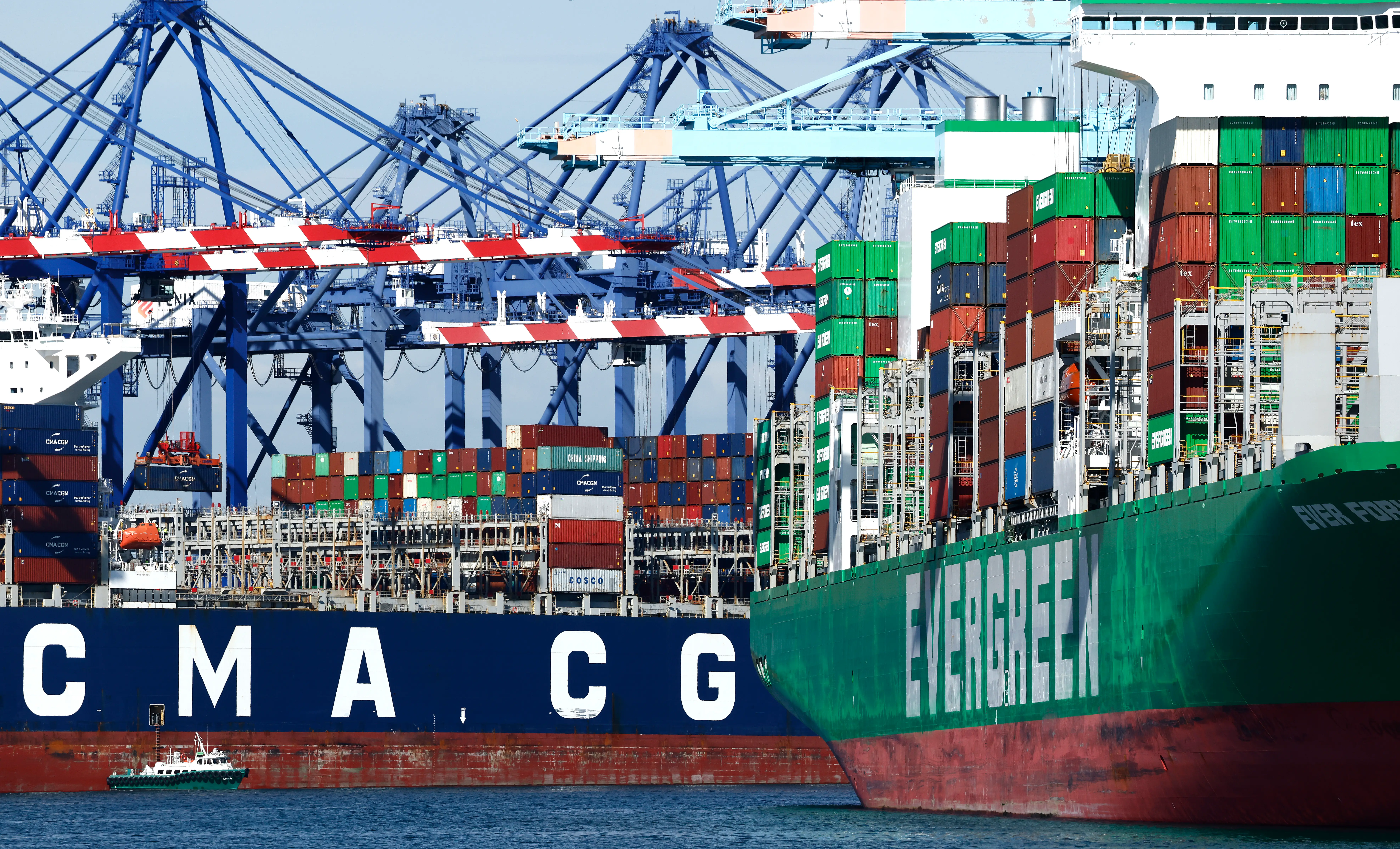 Shipping cranes stand above container ships loaded with shipping containers at the Port of Los Angeles on February 20, 2026.