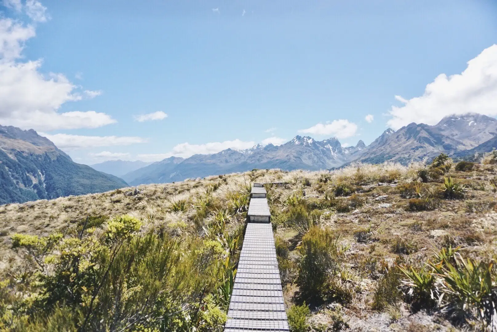 View during a hike on New Zealand_s South Island