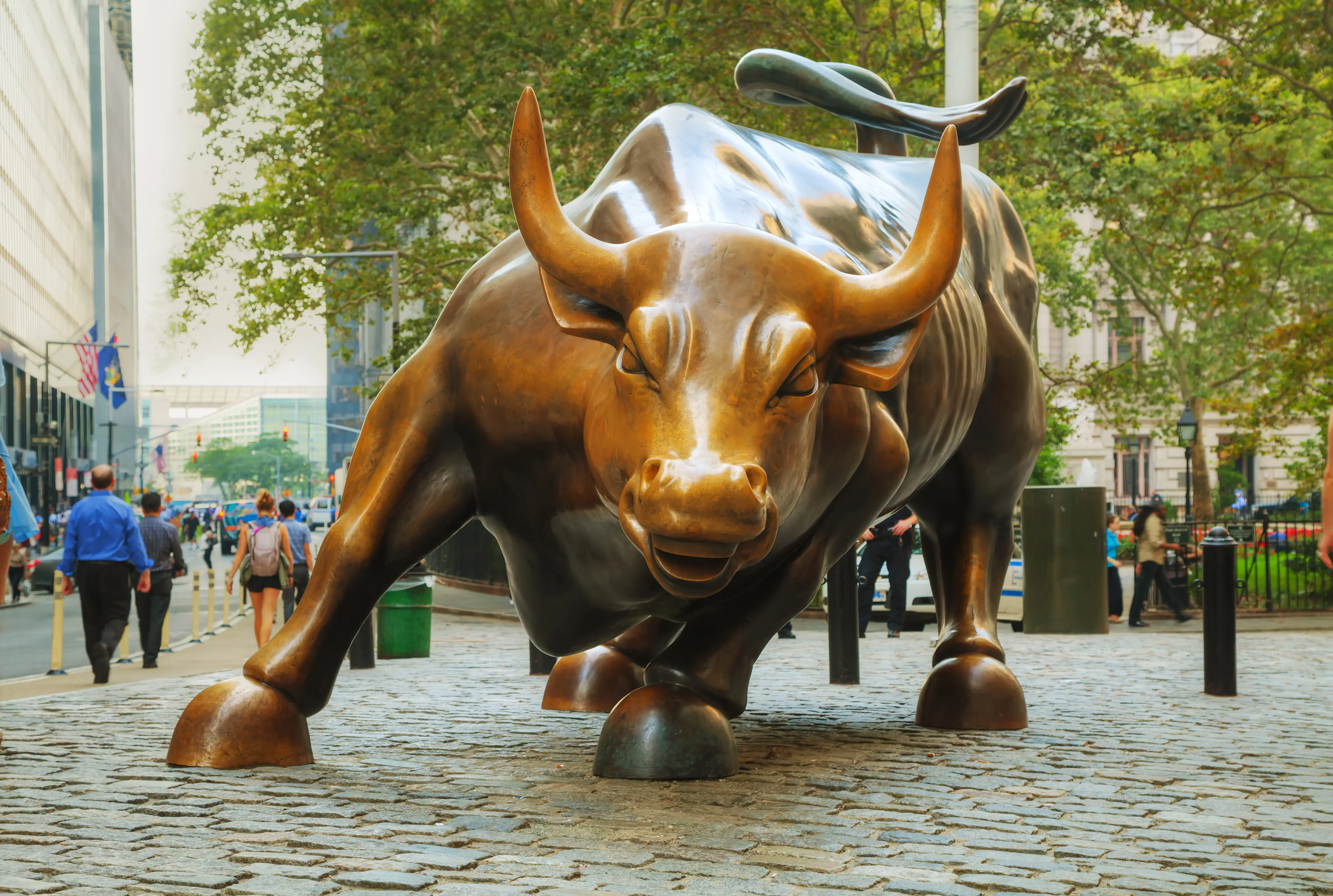 Wall Street bull