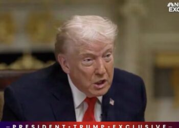 Trump Throws Goon Under the Bus After FBI Ballot Raid