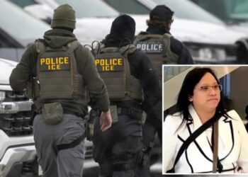 DHS attorney who told judge ‘this job sucks’ axed from detail