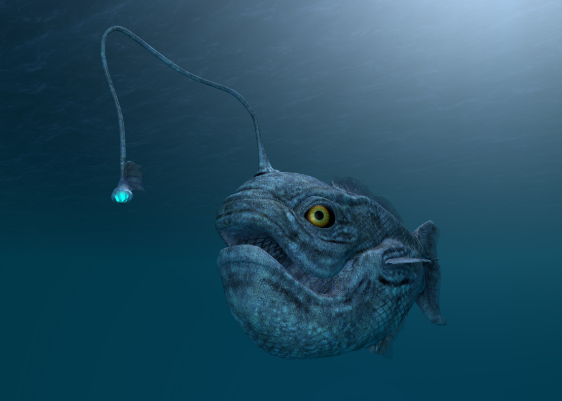 9 Animals That Reproduce in Truly Bizarre Ways