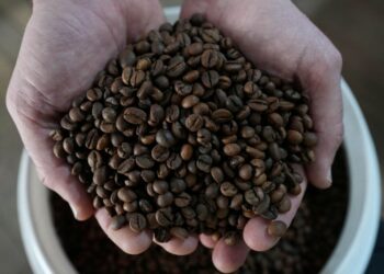 Drink coffee to prevent dementia? It’s not so far-fetched.