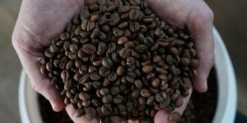 Drink coffee to prevent dementia? It’s not so far-fetched.