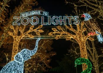 An Asian elephant has been born at the National Zoo