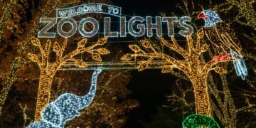 An Asian elephant has been born at the National Zoo