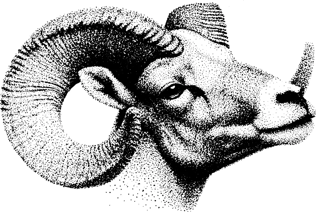 Stipple dotwork illustration of an aries ram head design for tattoos and art projects