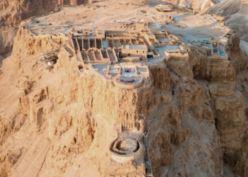 Ancient Romans Used Poop as Medicine, Researchers Confirm