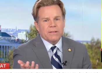 CNN Panel Goes After MAGA Congressman for Downplaying Epstein Files