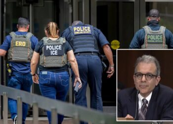 ICE admits to submitting inaccurate info to judge about LI detainees