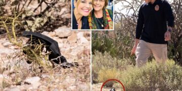 Mysterious black glove found near Nancy Guthrie’s home could hold crucial DNA evidence: former FBI agent