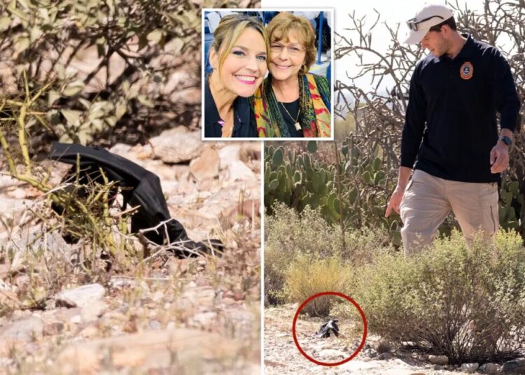 Mysterious black glove found near Nancy Guthrie’s home could hold crucial DNA evidence: former FBI agent