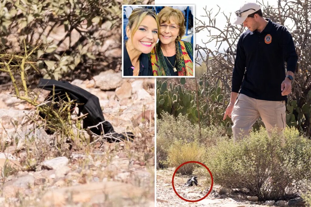 Mysterious black glove found near Nancy Guthrie’s home could hold crucial DNA evidence: former FBI agent