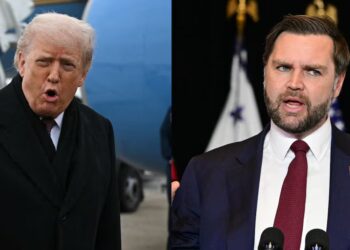 Vance Accidentally Sabotages Trump’s Epstein Files Plea