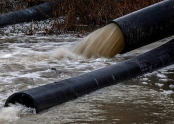 Bowser declares Potomac sewage spill an emergency, seeks federal aid for cleanup