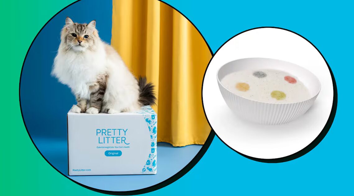 Scouted: This Smart Cat Litter Aims to Catch Health Issues Before You Do