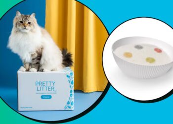Scouted: This Smart Cat Litter Aims to Catch Health Issues Before You Do