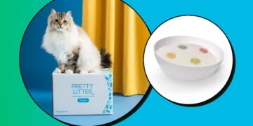 Scouted: This Smart Cat Litter Aims to Catch Health Issues Before You Do