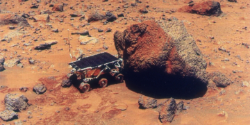 Did NASA Find Life on Mars 50 Years Ago and Accidentally Kill It?