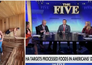 Fox Hosts Cringe at RFK’s Shirtless Workout With Kid Rock