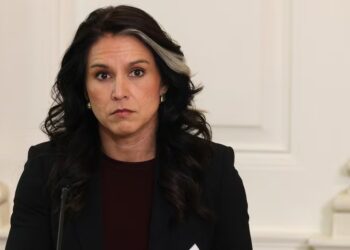 Leaked Memo Blows Lid Off Secret Complaint That Gabbard Kept Hidden in a Locked Safe