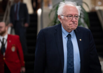 Bernie Sanders’s worst idea yet