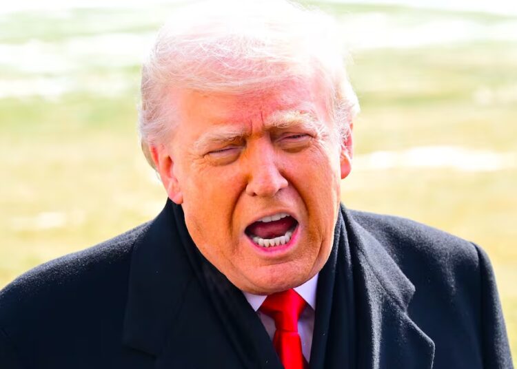 Manic Trump, 79, Unleashes Deranged Conspiracy Posting Rampage