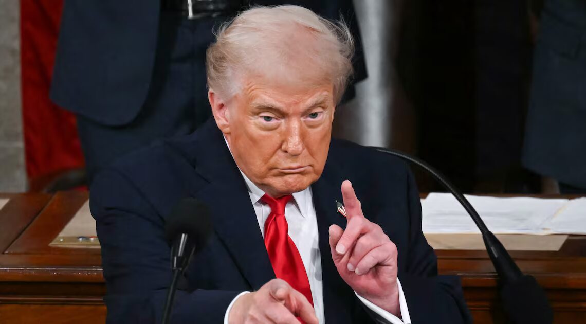 Morning Joe Blasts Trump, 79, For ‘S*** No Sane President Would Do’