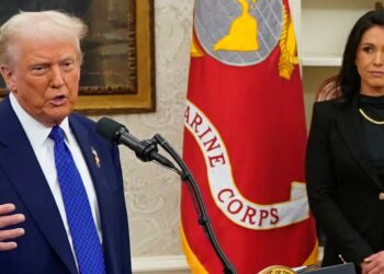 Trump’s Tie to Whistleblower Report Tulsi Hid in Safe Busted