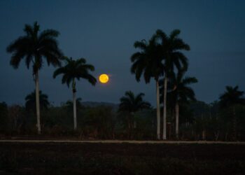 What it’s like to watch a dictatorship strangle your home country