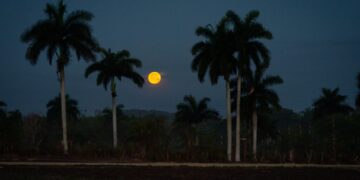 What it’s like to watch a dictatorship strangle your home country