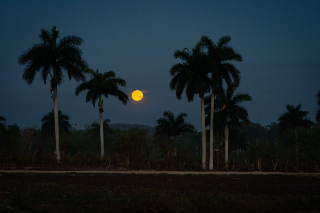 What it’s like to watch a dictatorship strangle your home country