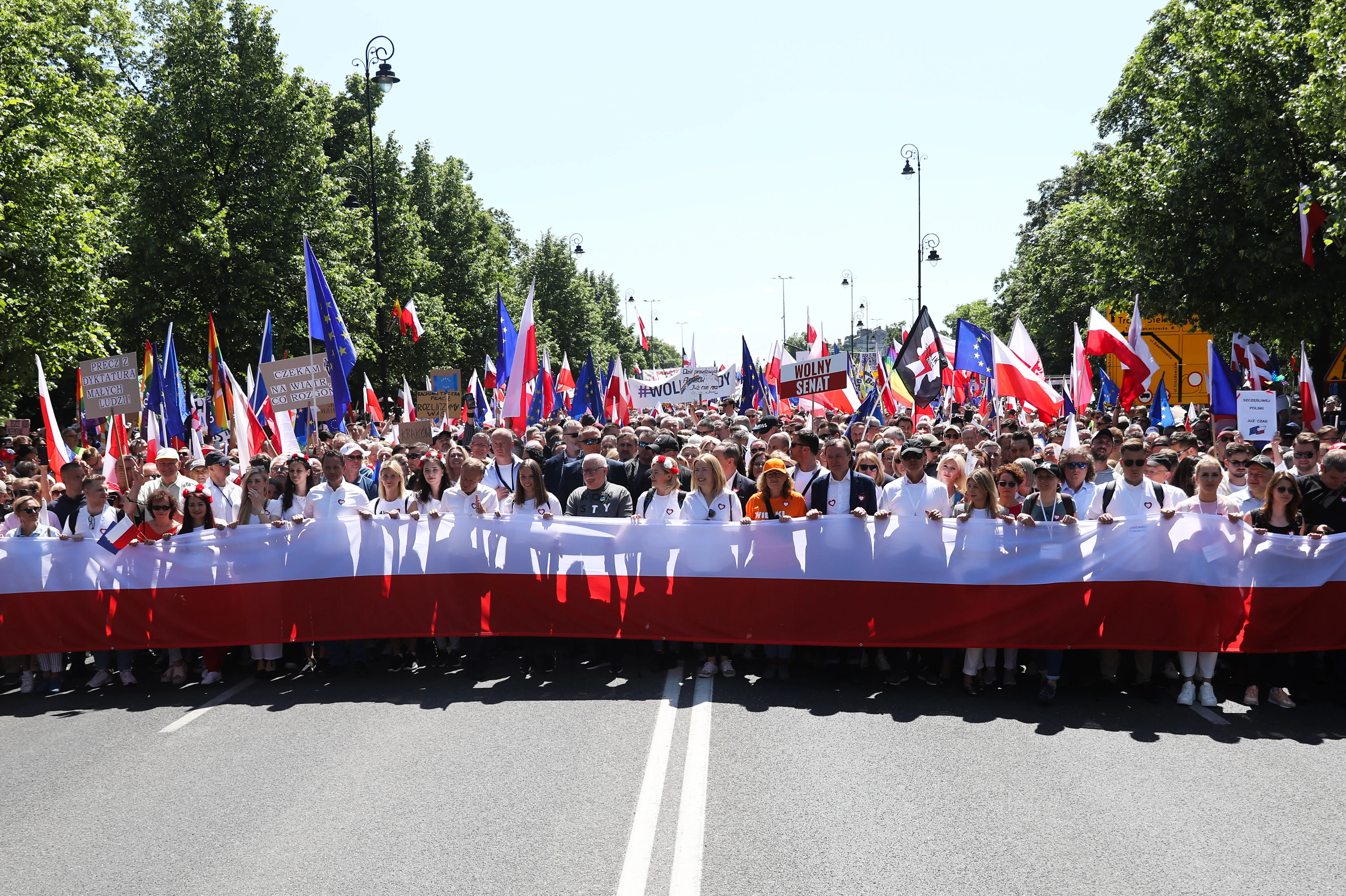 A crowd of people march holding flags A crowd of people march holding flags
