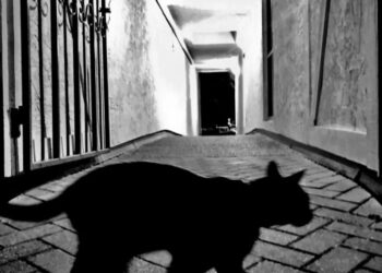 Friday the 13th brings global selloff in stocks and gold as AI fear grips markets