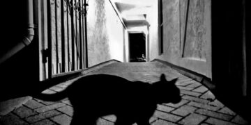 Friday the 13th brings global selloff in stocks and gold as AI fear grips markets