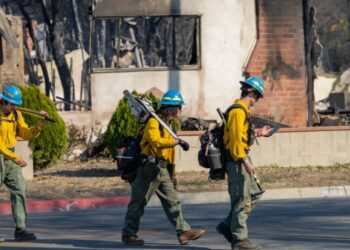 Trump’s new Wildland Fire Service is failing to ignite