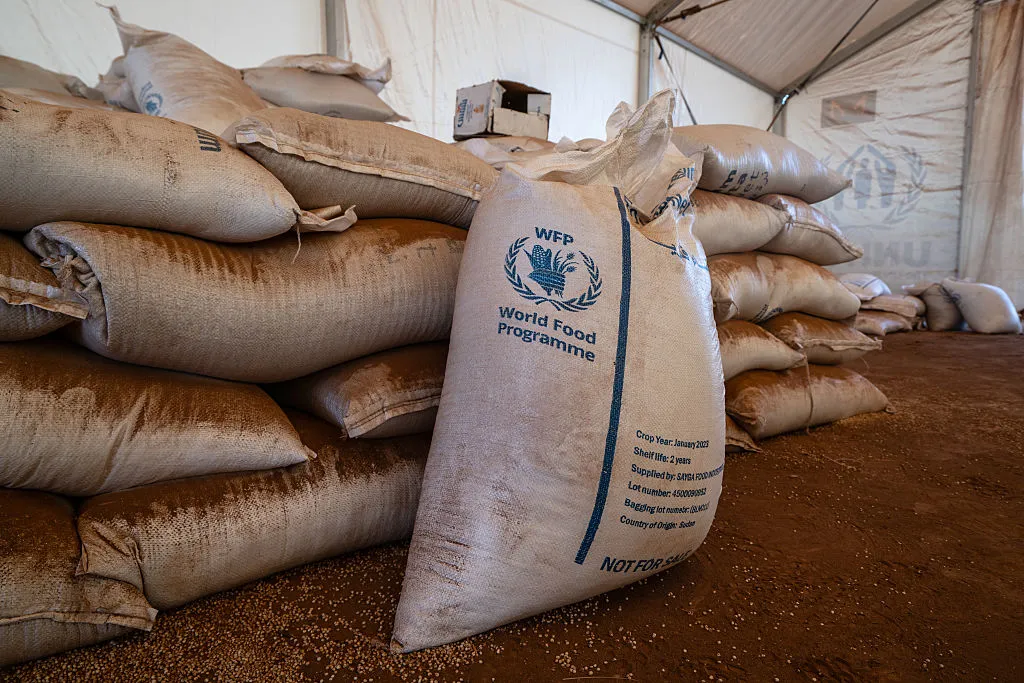 Sudan's Displacement Crisis