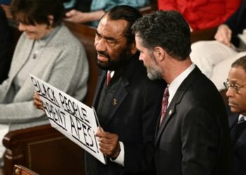 Security Escorts Rep. Al Green Out of State of the Union Over ‘Black People Aren’t Apes’ Sign